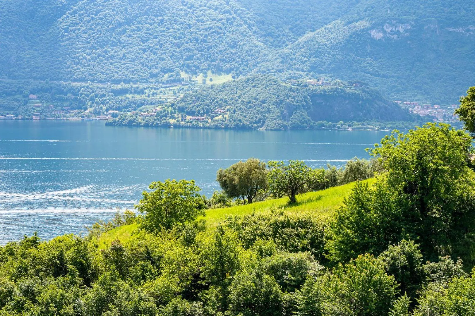 Italian Vacation Homes - Iseo Lake Vista Retreat Tavernola Bergamasca Apartmán